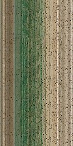 130 111 Green/Silver