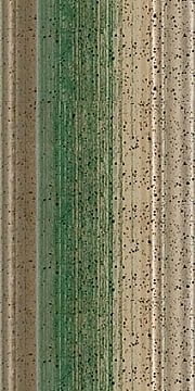 130 111 Green/Silver