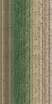 130 111 Green/Silver
