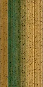 130 011 Green/Gold