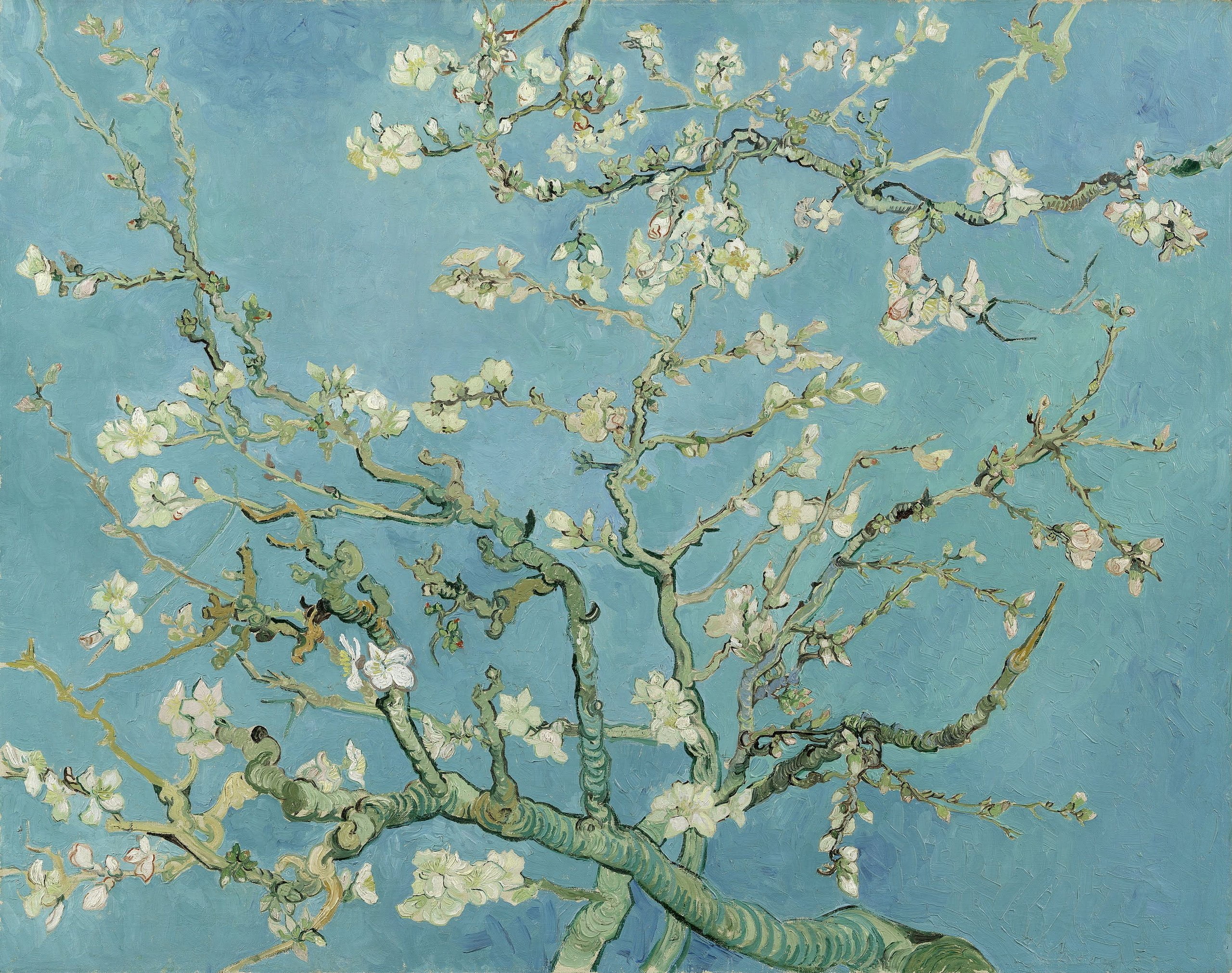 Vincent Van Gogh - Blossoming almond tree - Blühender Mandelbaum, Gemälde, Leinwandbilder