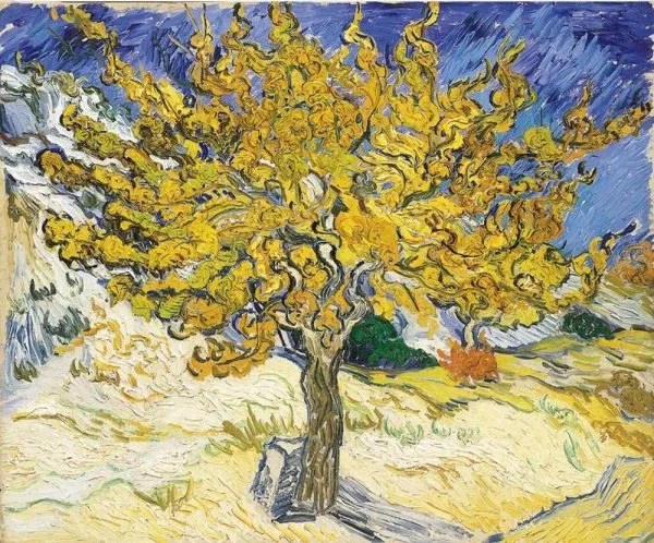 Slike na platnu - Vincent Van Gogh - Mulberry tree - Ročno slikane, reprodukcije slik znanih slikarjev, olje na platnu, moderne stenske slike, umetniške slike za na steno, ambientalne, abstraktne, dekorativne stenske slike