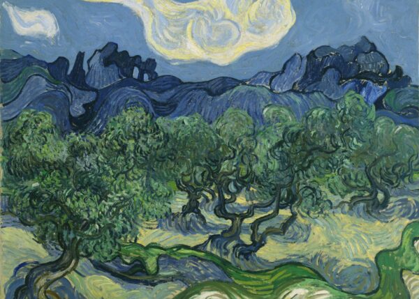 Reprodukcije slik znanih slikarje, umetniške oljne slike na platnu, dekorativne slike, nakup in prodaja slik Vincent Van Gogh - Olive Trees with the Alpilles in the Background