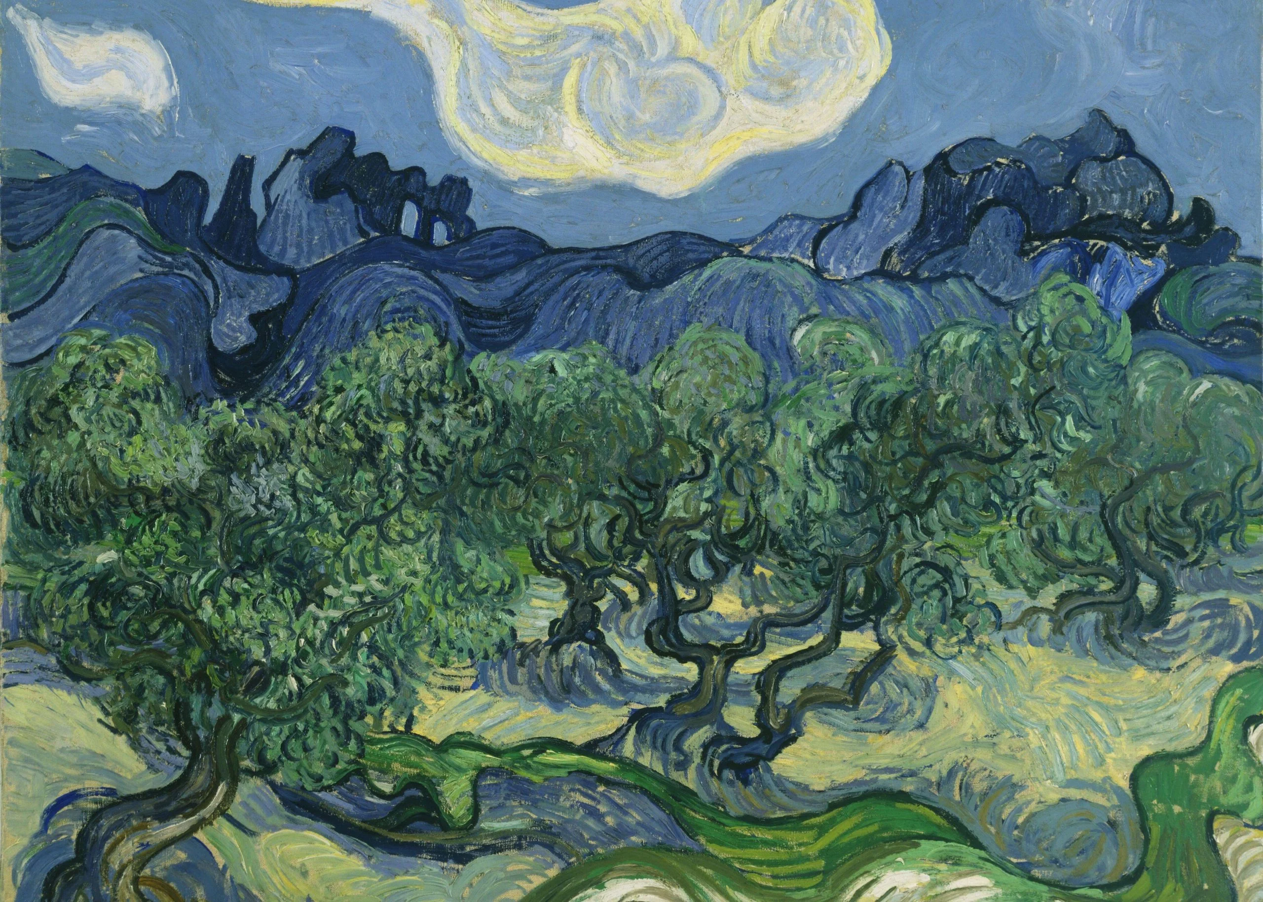 Vincent van Gogh – Olivenbäume – verschlungene Stämme und grüne Kronen, Berge im Hintergrund, Ölgemälde, Reproduktion