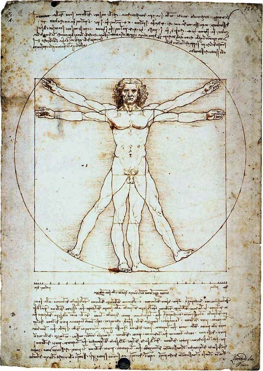 Leonardo da Vinci – Vitruvianischer Mensch – handgemalte Reproduktion auf Leinwand