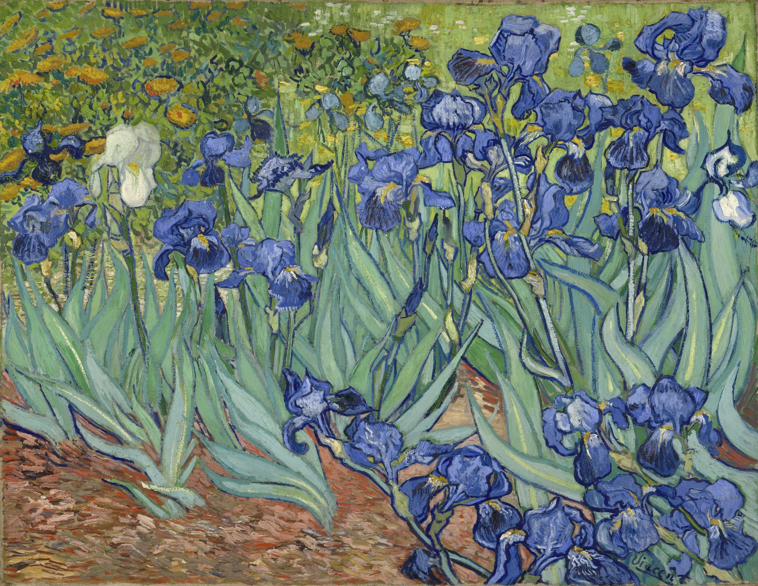 Vincent Van Gogh - Irises - Ročno naslikane reprodukcije znanih slikarjev, moderne stenske slike, umetniške slike za na steno Vincent Van Gogh - Irises - Ročno naslikane reprodukcije znanih slikarjev, moderne stenske slike, umetniške slike za na steno