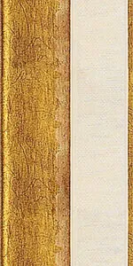 Ana 011 oro
