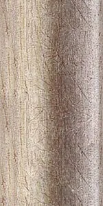 Siena 111 ARG
