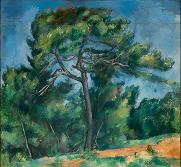 Paul Cézanne – Veliki bor, jedan veliki bor širi grane preko modrog neba, uljana slika na platnu