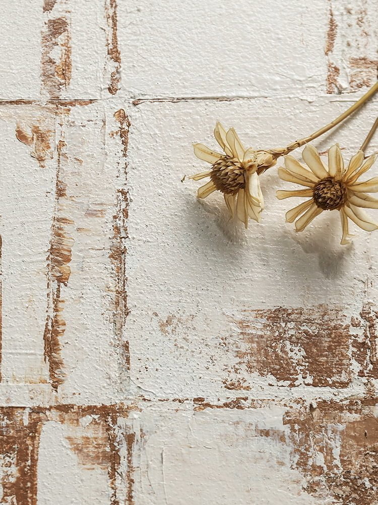 Dipinti su tela - D128