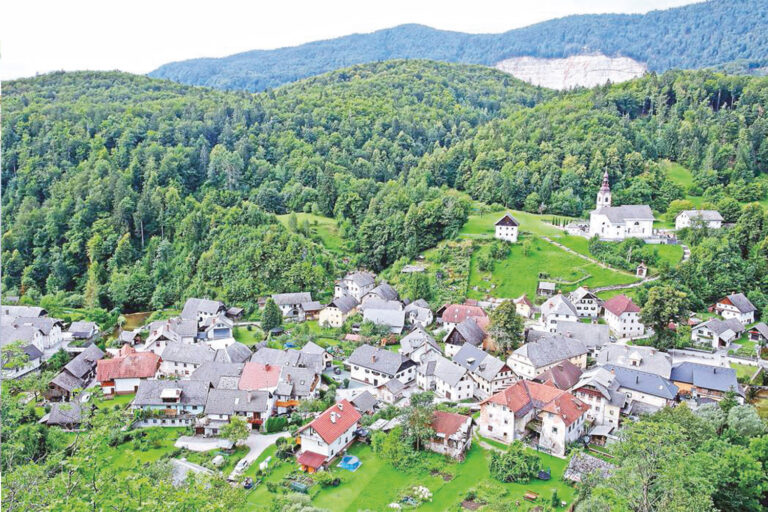 slika po naročilu