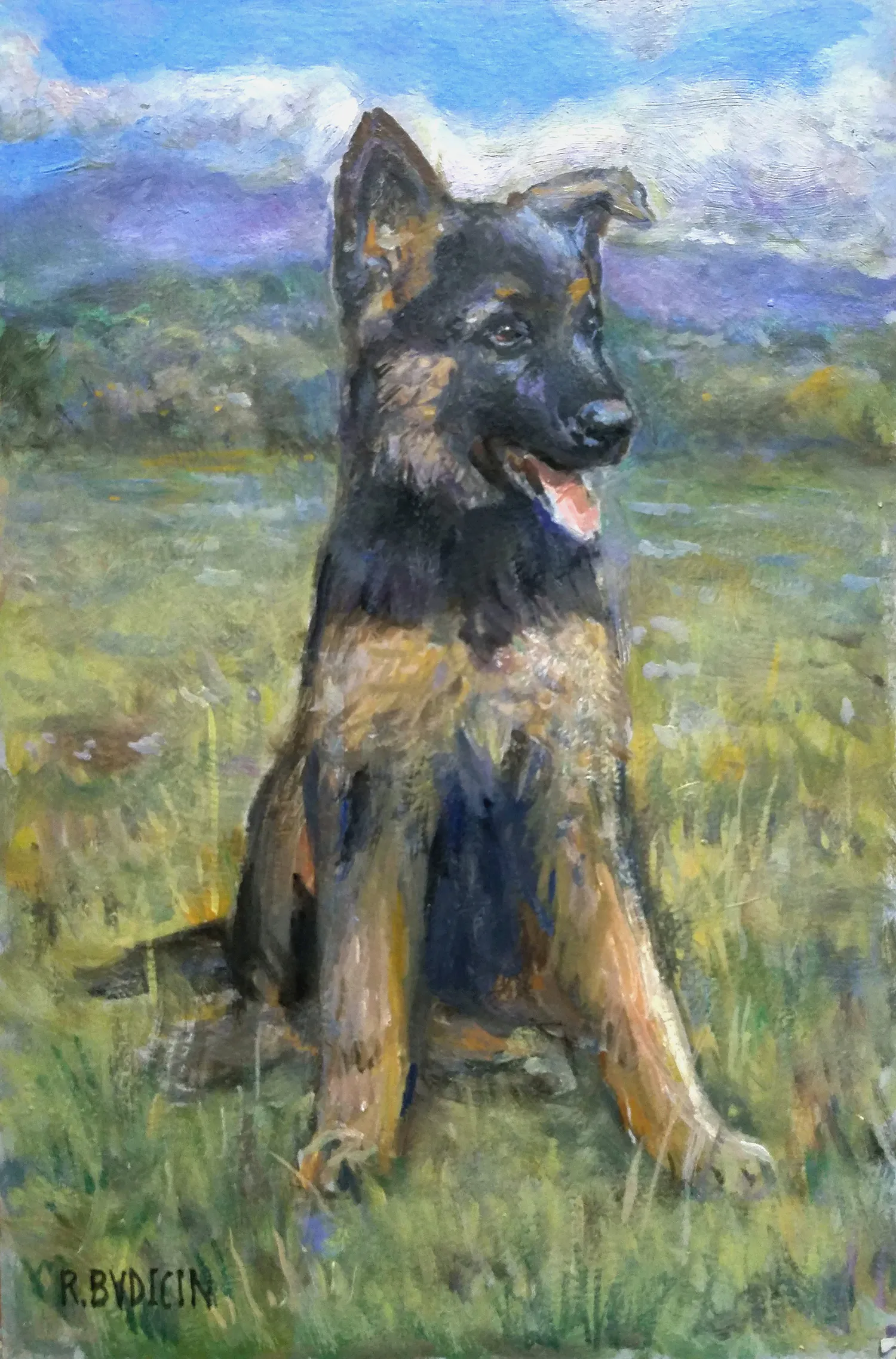Roberto Budicin - Dog portrait - quadro su tela dipinto a mano - riproduzione
