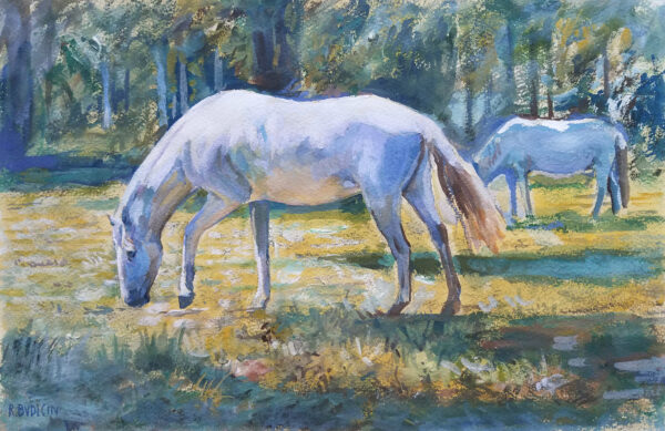 Roberto Budicin - Lipizzan Horses