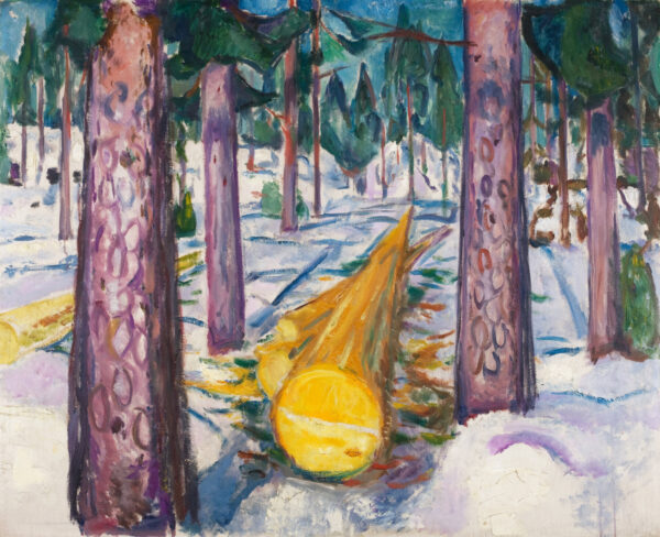 Edvard Munch, Der gelbe Baumstamm: ein gefällter Stamm mit großer gelber Schnittfläche zieht sich in steiler Perspektive in einen verschneiten Kiefernwald zurück, davor steigen rosaviolette Stämme mit dunklen Schlingen auf; handgemalte Reproduktion.