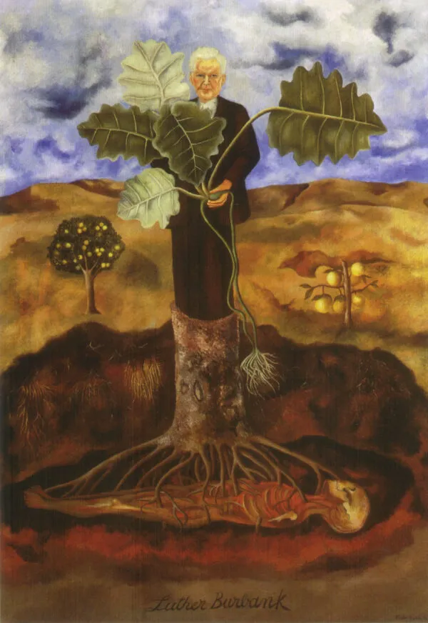 Frida Kahlo – Luther Burbank portréja – az 1931-es eredeti a Museo Dolores Olmedóban – olaj, farostlemez