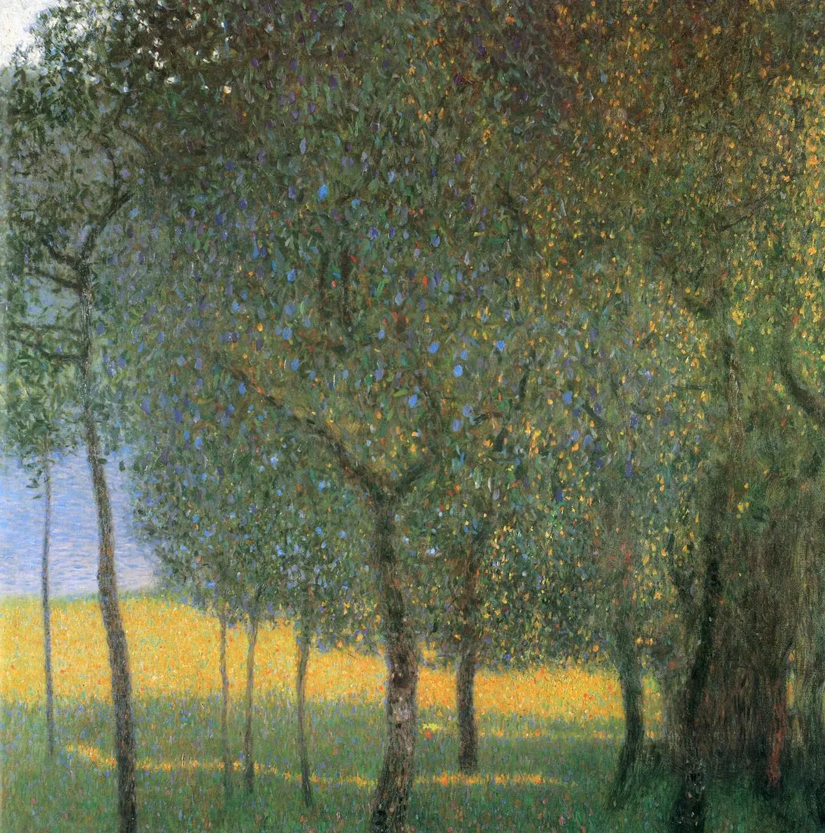Gustav Klimt – Sadno drevje – izvirnik, vrsta vitkih sadnih dreves z zelenimi krošnjami pred sončnim rumenim poljem – olje na platnu