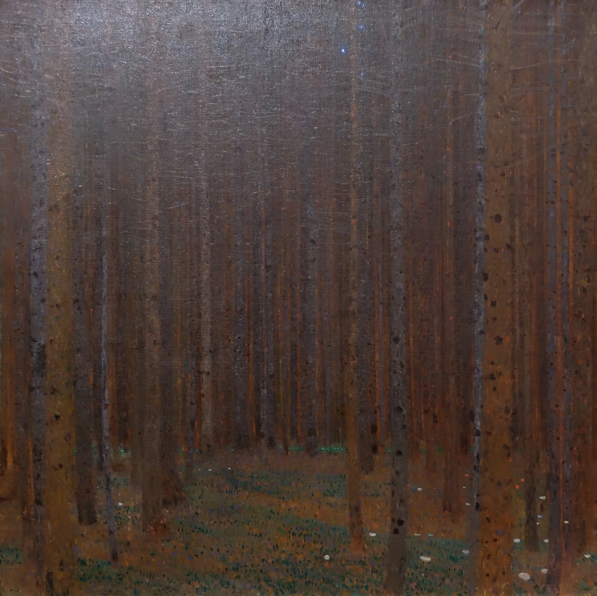Gustav Klimt – Borov gozd I – izvirnik, visoka rdeče rjava debla čez kvadraten gozd z mahovitimi tlemi in belimi cvetovi – olje na platnu