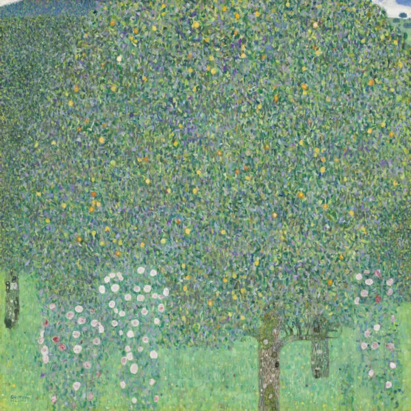 Gustav Klimt – Vrtnice pod drevesi – izvirnik, krošnja sadnega drevesa nad dvema grmoma rožnatih in belih vrtnic na bledo zelenem travniku – olje na platnu