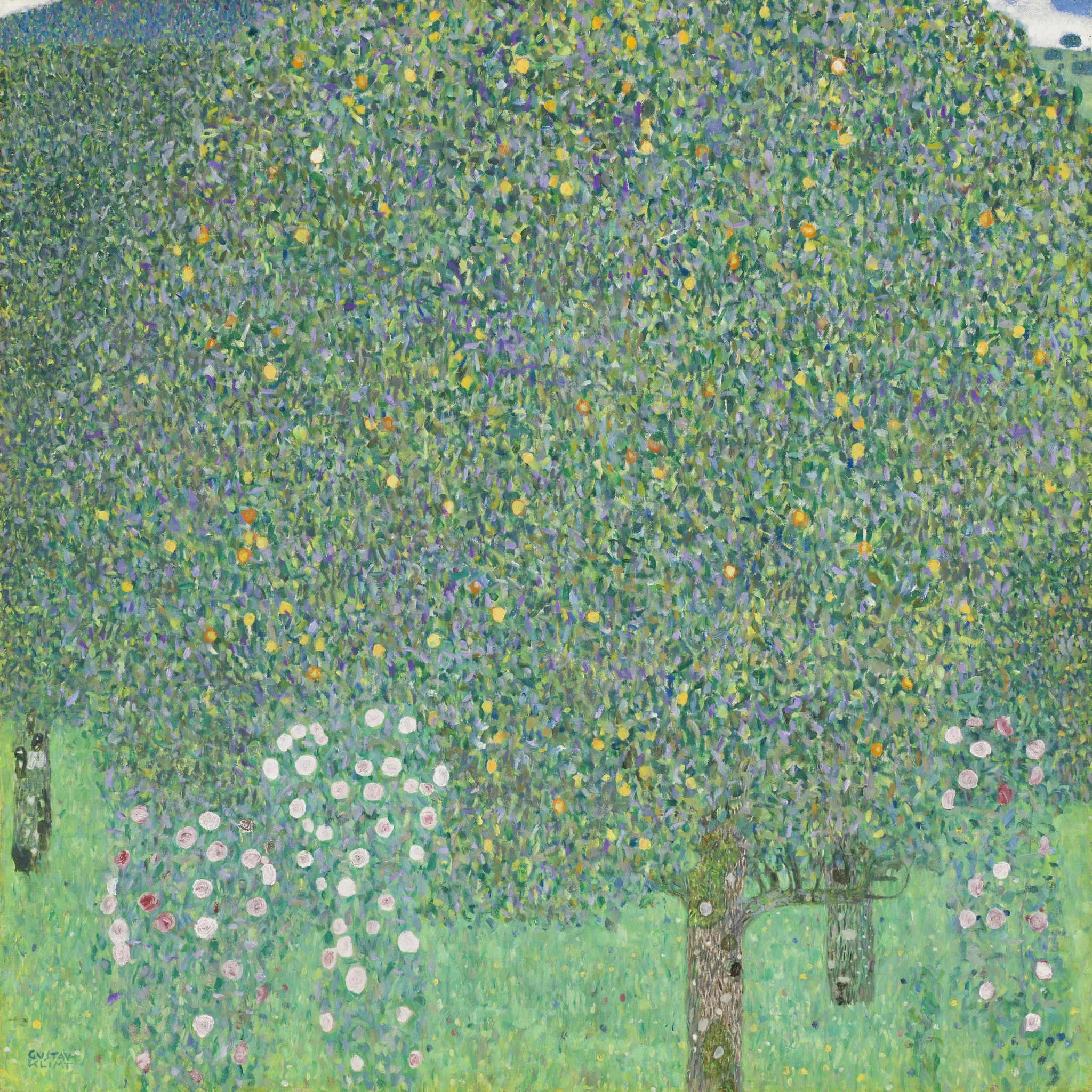 Gustav Klimt – Vrtnice pod drevesi – izvirnik, krošnja sadnega drevesa nad dvema grmoma rožnatih in belih vrtnic na bledo zelenem travniku – olje na platnu