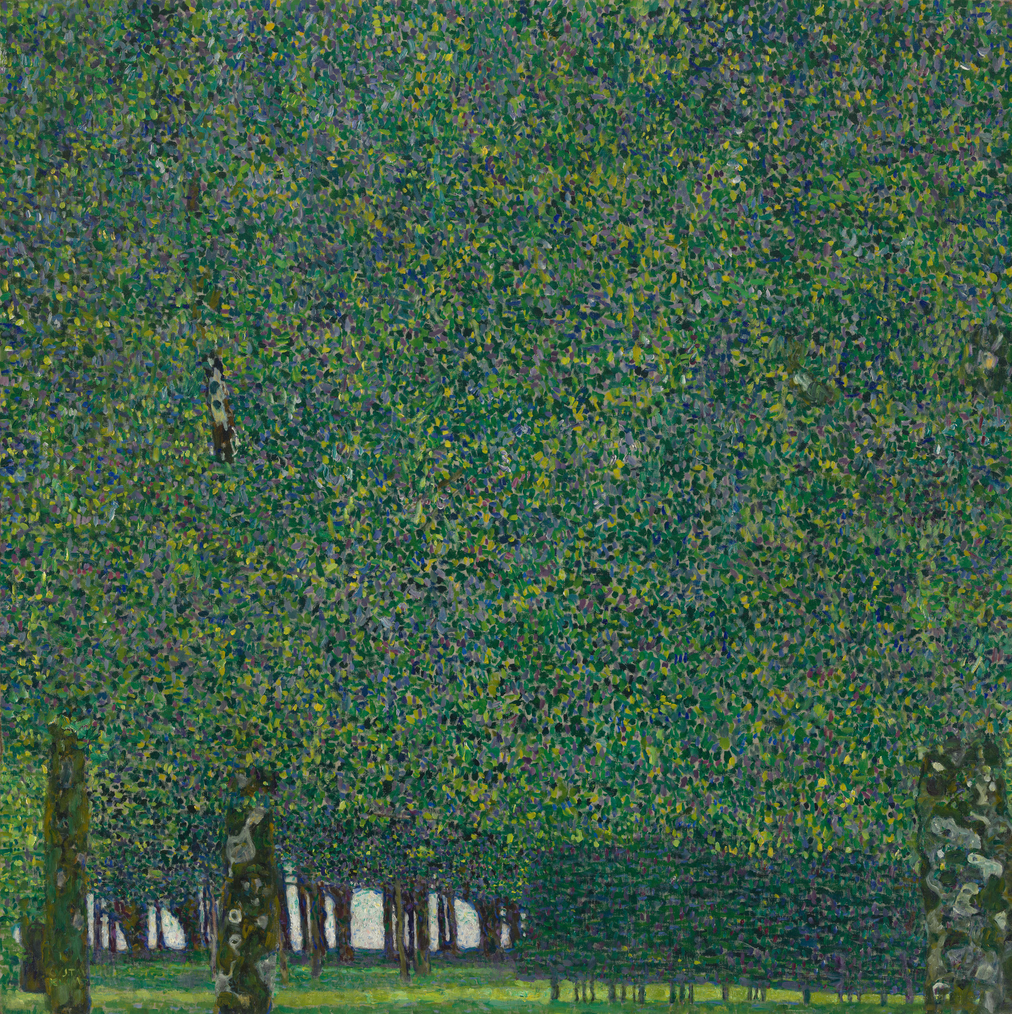 Gustav Klimt – Il parco – l’originale al Museum of Modern Art di New York, un fitto muro di chiome verdi sopra una sottile striscia di tronchi e prato – olio su tela