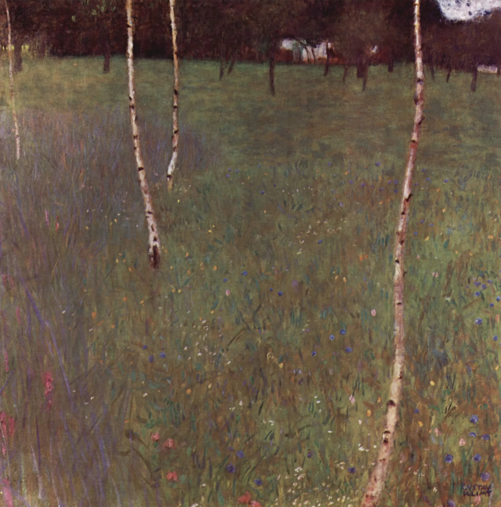 Gustav Klimt – Mlade breze – izvirnik, tri bele breze na poletnem travniku s cvetovi pod temnim pasom dreves z belo kmečko hišo – olje na platnu