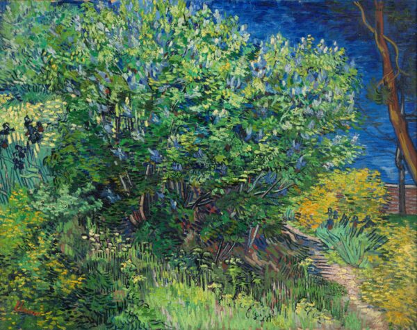 Vincent van Gogh – Lilac Bush – the 1889 original in the State Hermitage Museum, a lilac bush in flower with irises, a tree trunk and blue sky – oil on canvas