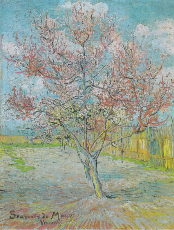 Vincent van Gogh – Pink Peach Tree in Blossom (Reminiscence of Mauve) – the 1888 original, Kröller-Müller Museum, Otterlo – oil on canvas