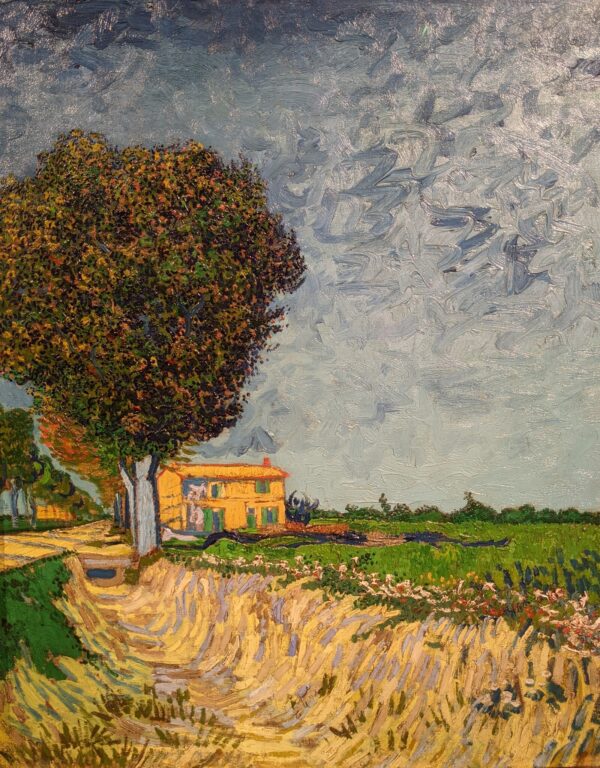 Vincent van Gogh - Road Near Arles (Side of a Country Lane) - hand-painted oil painting reproduction - oil on canvas