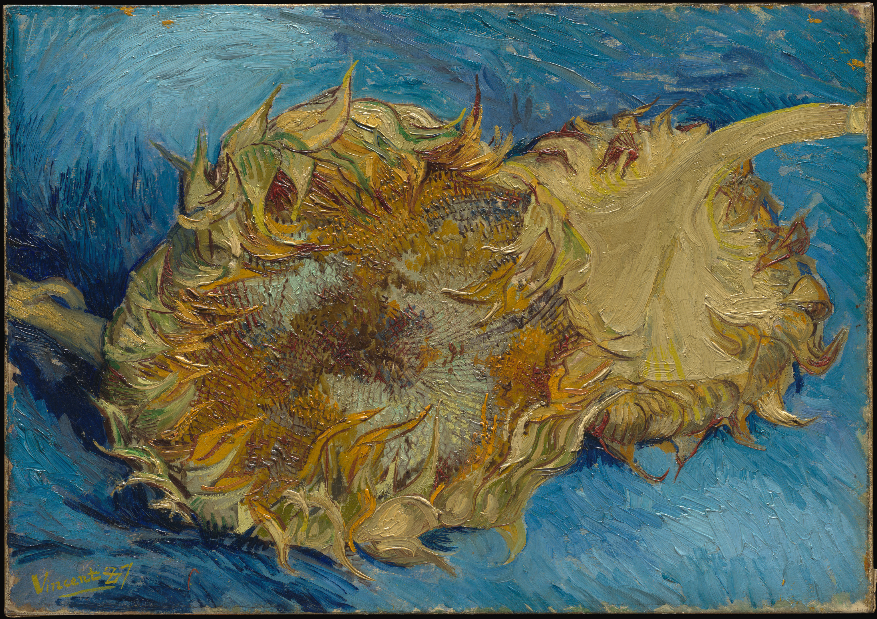 Vincent van Gogh – Dva odrezana suncokreta